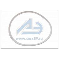 Кольцо фторопластовое КАМАЗ ЕВРО антипригарное Завод 740-1003460-01 купить с доставкой по Перми и РФ