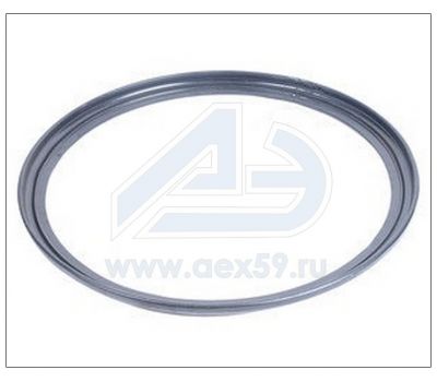 Кольцо диска колеса бортовое  КАМАЗ 4310-3101027 купить с доставкой по Перми и РФ