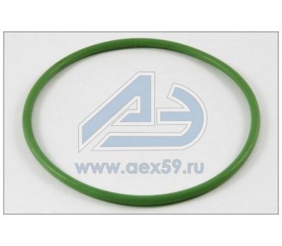 Кольцо уплотнительное гильзы КАМАЗ толстое 740-1002024 купить с доставкой по Перми и РФ