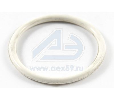 Кольцо уплотнительное водяного насоса КАМАЗ 740-1318140 купить с доставкой по Перми и РФ