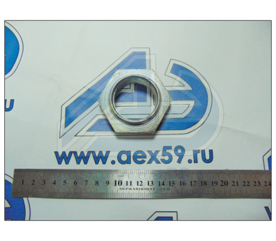 Гайка М42х2 подшипника ведущей шестерни КАМАЗ ЕВРО 53205-2402269 купить с доставкой по Перми и РФ