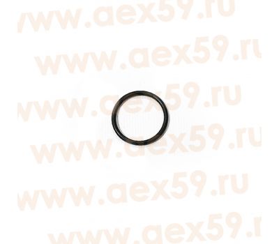Кольцо уплотнительное форсунки ЯМЗ-650 650-1112230 купить с доставкой по Перми и РФ