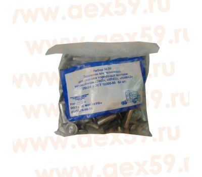 Заклепка 8*24 мм набор №20 64 шт конус 255925-П купить с доставкой по Перми и РФ