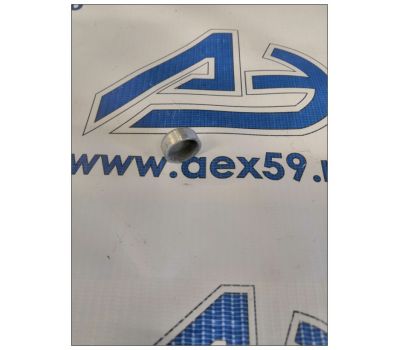 Заглушка блока цилиндра ГАЗ 3309 малая 50-1002328-В купить с доставкой по Перми и РФ