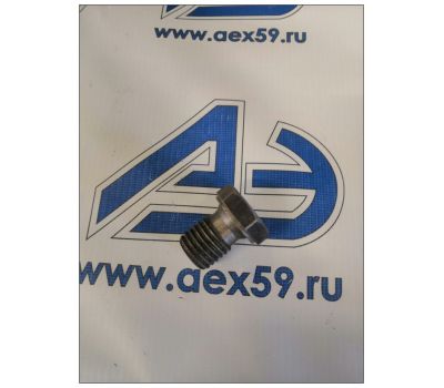 Пробка масляного картера ЗИЛ-5301 50-1401166 купить с доставкой по Перми и РФ