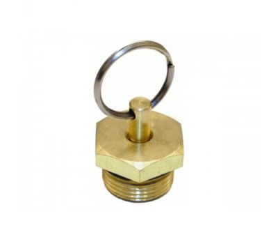 Кран сливной конденсата КАМАЗ, ЗИЛ 130  РААЗ 100-3513110 купить с доставкой по Перми и РФ